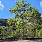 Otel Restaurant Du Plomb Du Cantal