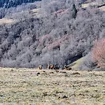 Restaurant Du Plomb Du Cantal