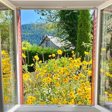 Hotel Restaurant Du Plomb Du Cantal