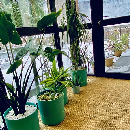 Hotel Restaurant Du Plomb Du Cantal 3*