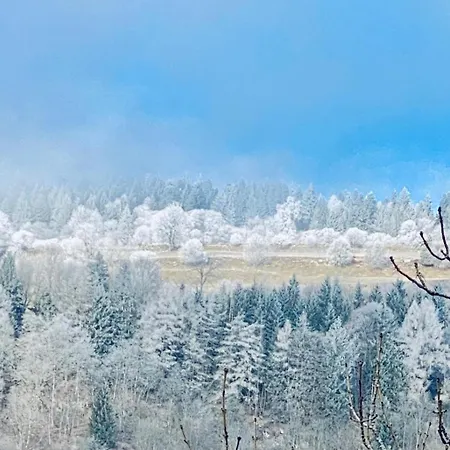 Restaurant Du Plomb Du Cantal 3*