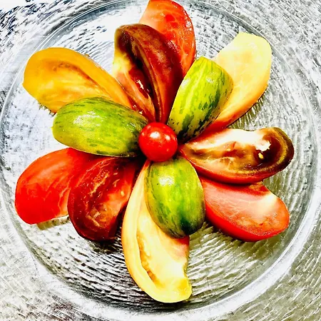 호텔 Restaurant Du Plomb Du Cantal