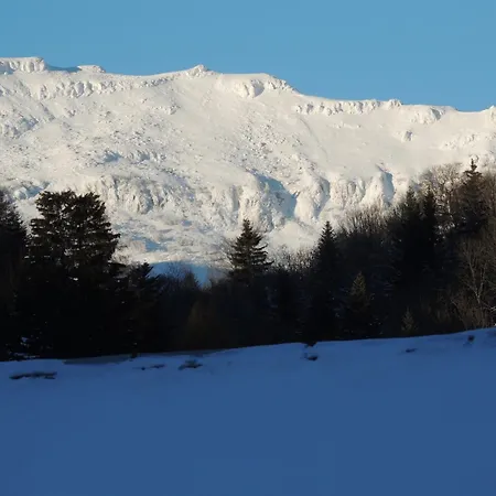 Отель Restaurant Du Plomb Du Cantal Мюра
