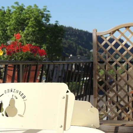 Restaurant Du Plomb Du Cantal Hotel