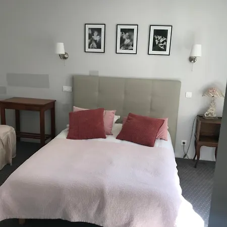 Restaurant Du Plomb Du Cantal Hotel Murat (Cantal)