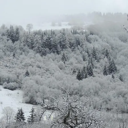 Restaurant Du Plomb Du Cantal