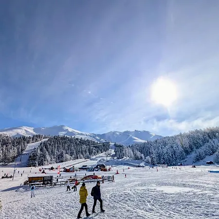 Hotel Restaurant Du Plomb Du Cantal