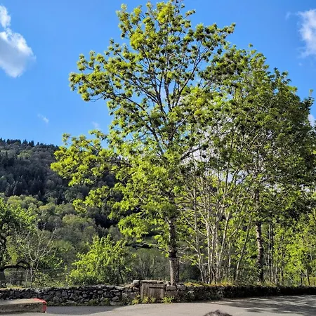 Hotel Restaurant Du Plomb Du Cantal