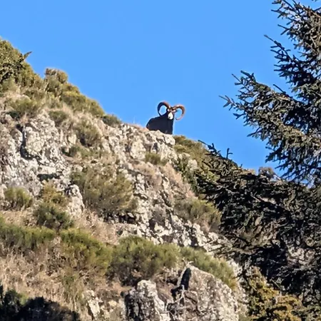 Отель Restaurant Du Plomb Du Cantal Мюра
