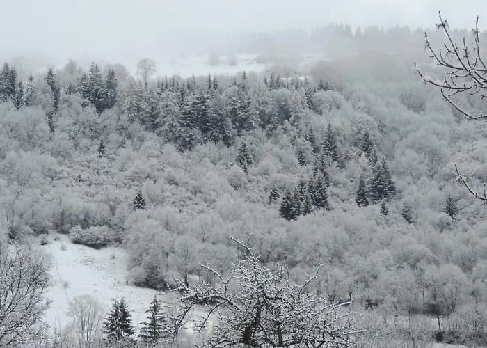 Restaurant Du Plomb Du Cantal