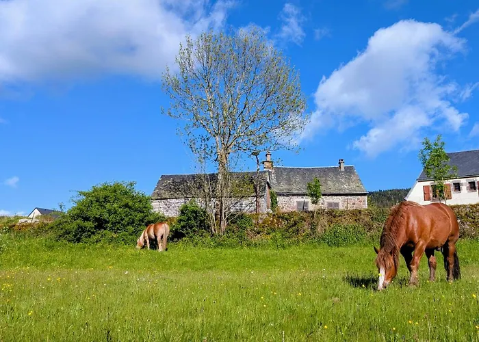 Restaurant Du Plomb Du Cantal 3* Murat (Cantal)