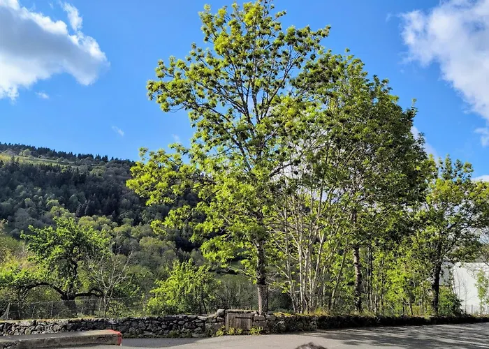Hotel Restaurant Du Plomb Du Cantal