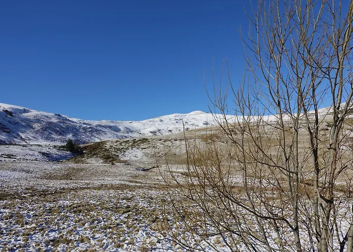 Hotel Restaurant Du Plomb Du Cantal 3*