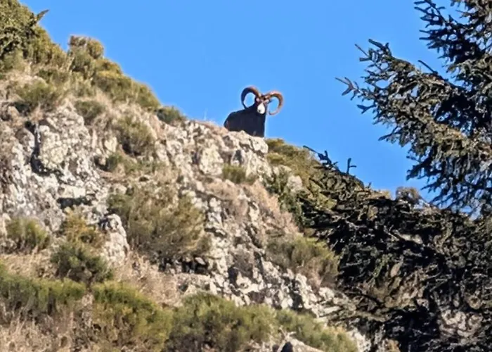 Hotel Restaurant Du Plomb Du Cantal Murat (Cantal)